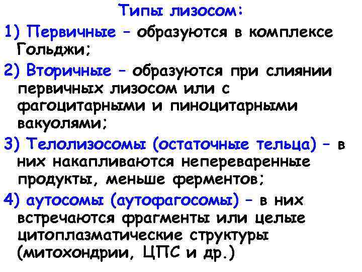 Типы лизосом: 1) Первичные – образуются в комплексе Гольджи; 2) Вторичные – образуются при