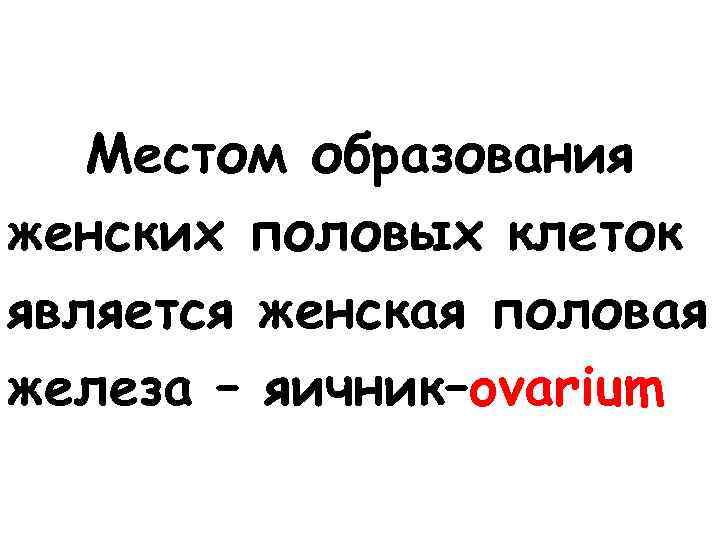 Местом образования женских половых клеток является женская половая железа – яичник–ovarium 