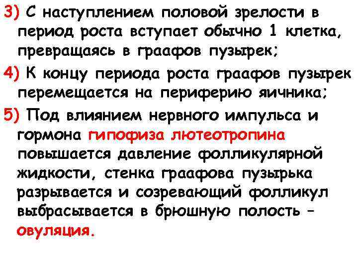 3) С наступлением половой зрелости в период роста вступает обычно 1 клетка, превращаясь в