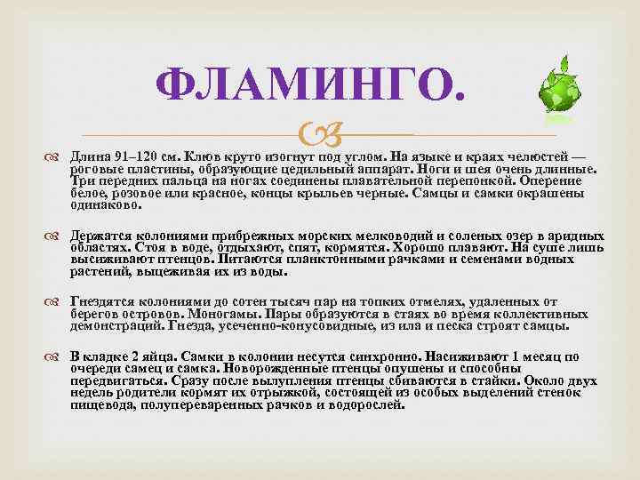 ФЛАМИНГО. Длина 91– 120 см. Клюв круто изогнут под углом. На языке и краях