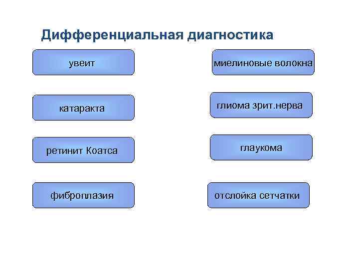 Дифференциальная диагностика увеит миелиновые волокна катаракта глиома зрит. нерва ретинит Коатса глаукома фиброплазия отслойка