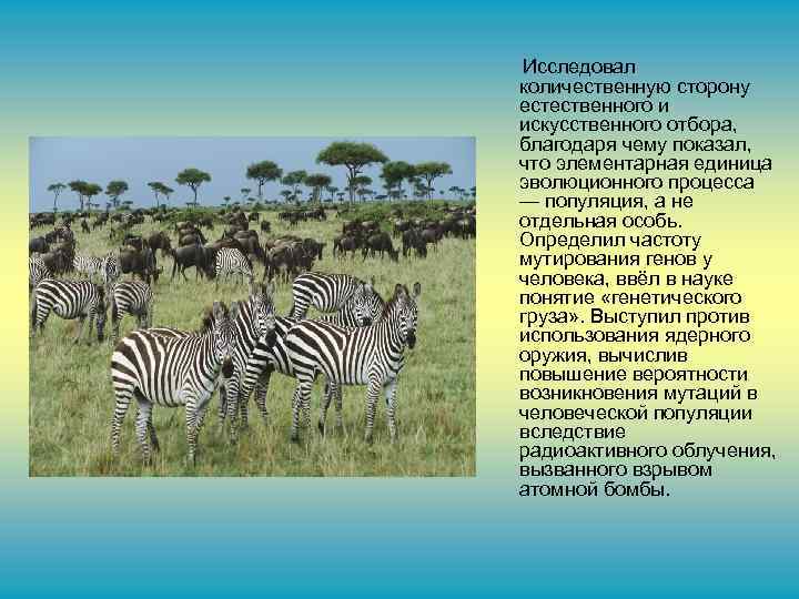 Исследовал количественную сторону естественного и искусственного отбора, благодаря чему показал, что элементарная единица эволюционного