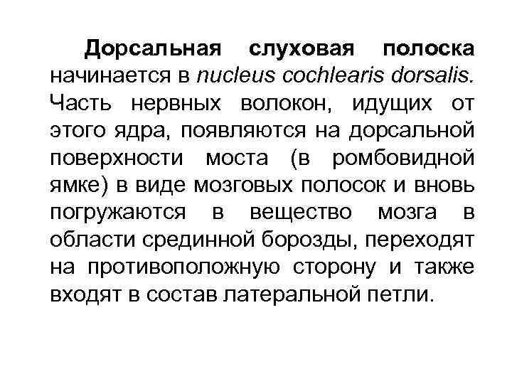 Дорсальная слуховая полоска начинается в nucleus cochlearis dorsalis. Часть нервных волокон, идущих от этого