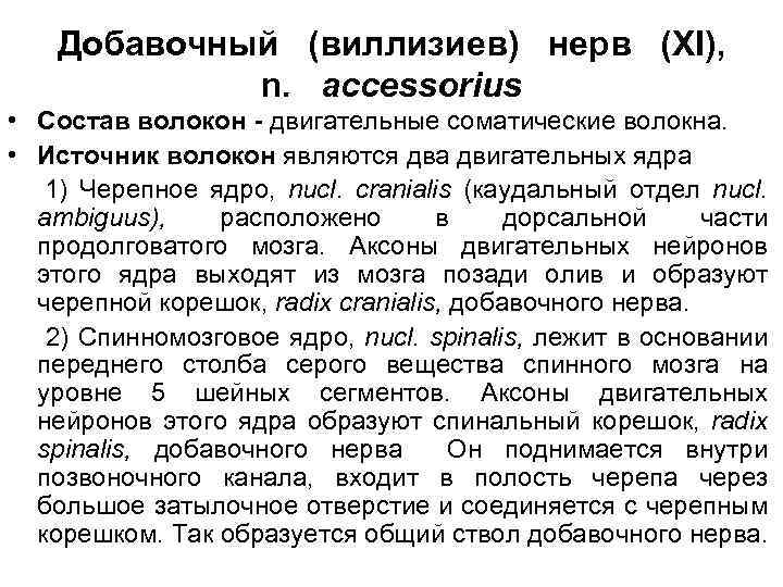 Добавочный (виллизиев) нерв (XI), n. accessorius • Состав волокон - двигательные соматические волокна. •