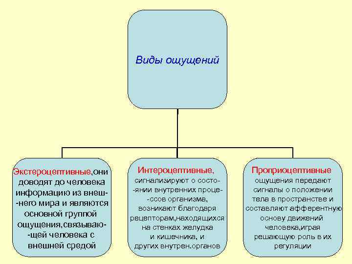 Ощущением называется психический