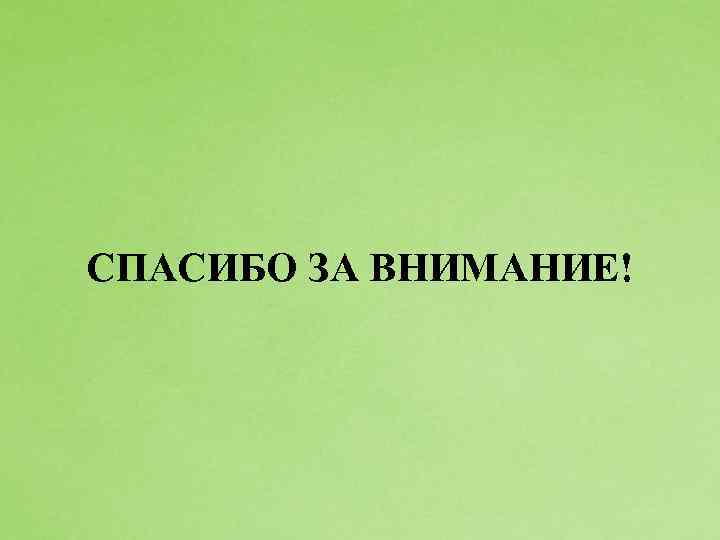 СПАСИБО ЗА ВНИМАНИЕ! 