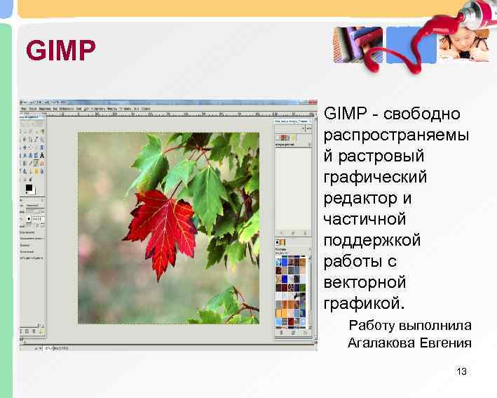 GIMP   GIMP - свободно   распространяемы  й растровый  