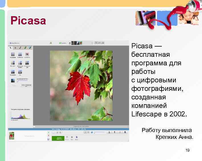 Picasa —  бесплатная  программа для  работы  с цифровыми  фотографиями,