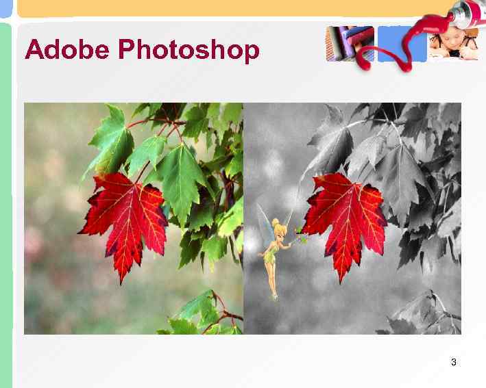 Adobe Photoshop    3 