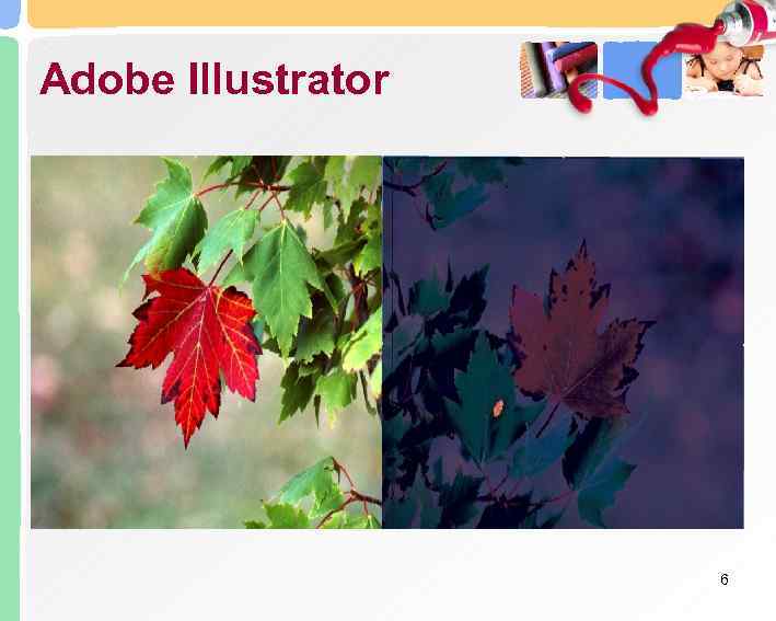 Adobe Illustrator     6 