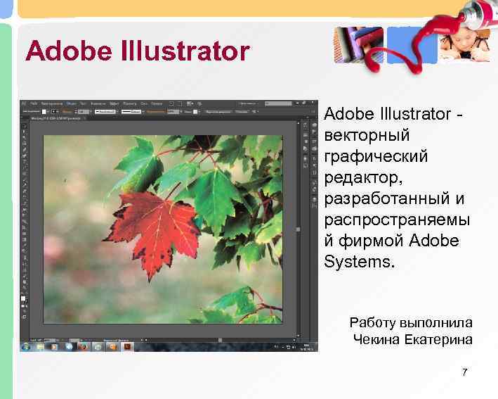 Adobe Illustrator     Adobe Illustrator -     векторный