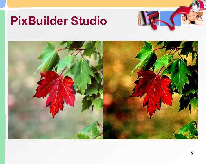 Pix. Builder Studio     9 