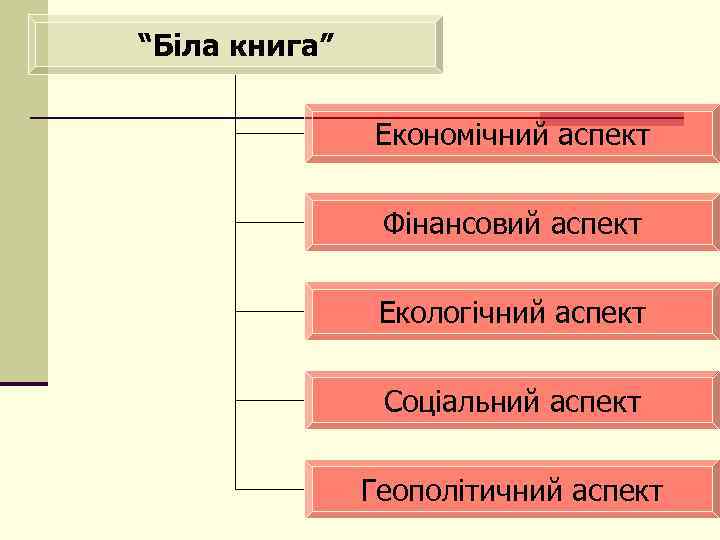 “Біла книга” Економічний аспект Фінансовий аспект Екологічний аспект Соціальний аспект Геополітичний аспект 