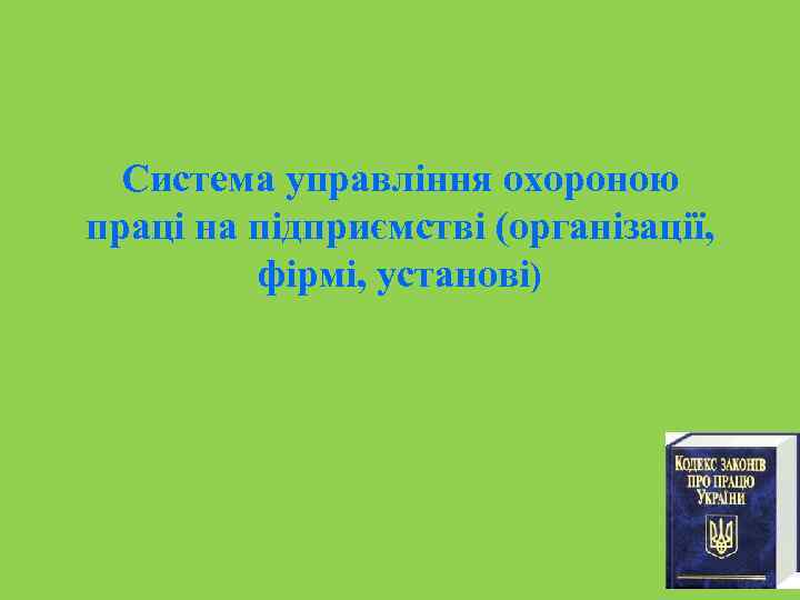 Система управління охороною праці на підприємстві (організації, фірмі, установі) 