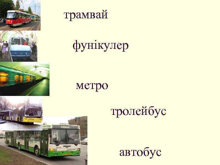 трамвай фунікулер метро тролейбус автобус 