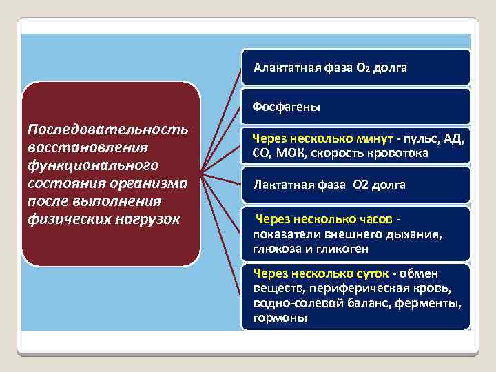 Алактатная фаза О 2 долга Фосфагены Последовательность восстановления функционального состояния организма после выполнения физических