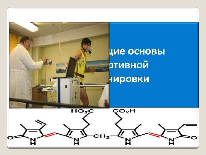 Общие основы спортивной тренировки 