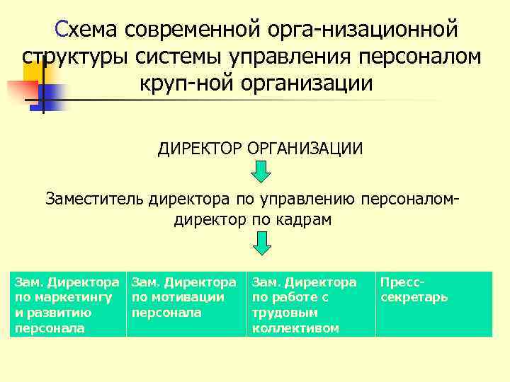 Схема современной орга низационной структуры системы управления персоналом круп ной организации ДИРЕКТОР ОРГАНИЗАЦИИ Заместитель
