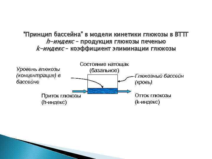 “Принцип бассейна” в модели кинетики глюкозы в ВТТГ h-индекс – продукция глюкозы печенью k-индекс