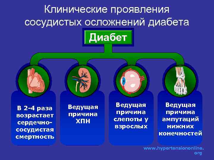 Клинические проявления сосудистых осложнений диабета Диабет В 2 -4 раза возрастает сердечнососудистая смертность Ведущая