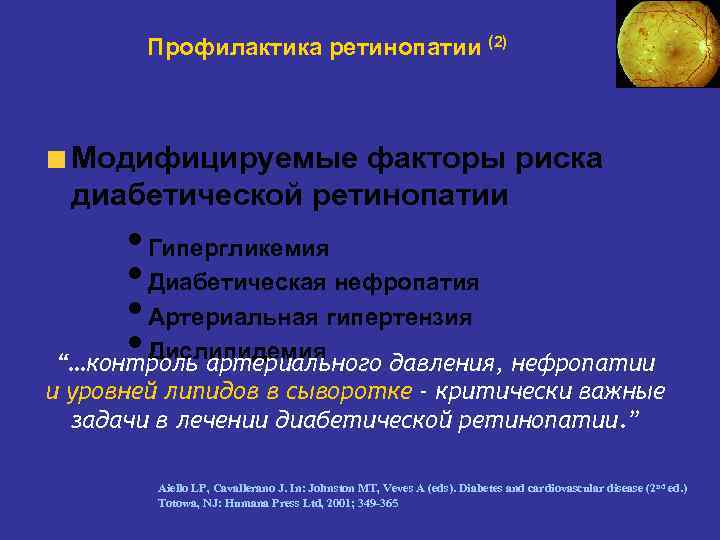 Профилактика сосудистых осложнений. Факторы риска диабетической нефропатии. Профилактика диабетической ретинопатии.