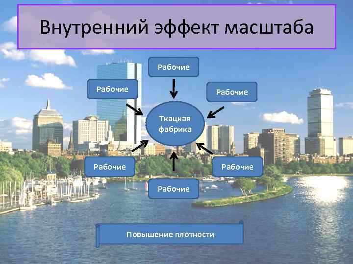 Внутренний эффект масштаба Рабочие Ткацкая фабрика Рабочие Повышение плотности 