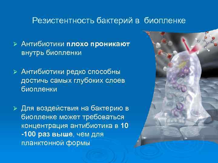 Резистентность бактерий в биопленке Ø Антибиотики плохо проникают внутрь биопленки Ø Антибиотики редко способны