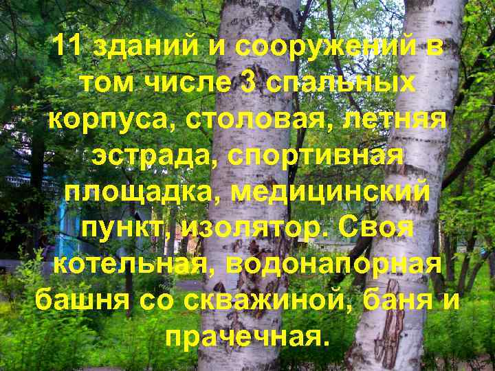 11 зданий и сооружений в том числе 3 спальных корпуса, столовая, летняя эстрада, спортивная