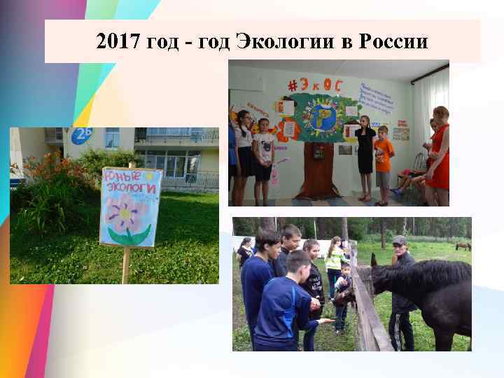 2017 год - год Экологии в России 