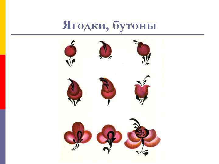 Ягодки, бутоны 