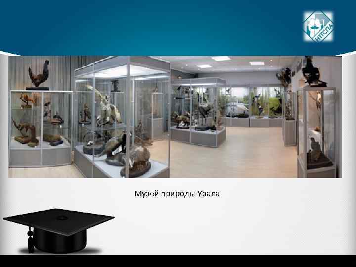 Музей природы Урала 