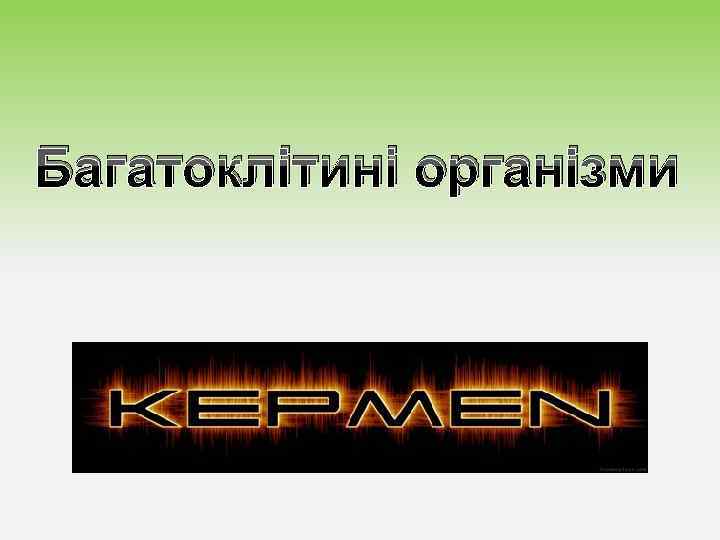 Багатоклітині організми 