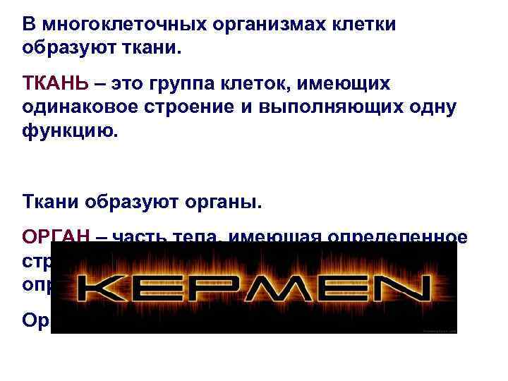 В многоклеточных организмах клетки образуют ткани. ТКАНЬ – это группа клеток, имеющих одинаковое строение
