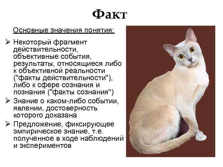 Факт Основные значения понятия: Ø Некоторый фрагмент действительности, объективные события, результаты, относящиеся либо к