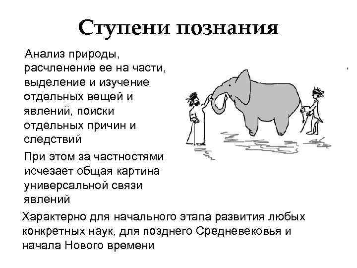 Ступени познания Анализ природы, расчленение ее на части, выделение и изучение отдельных вещей и