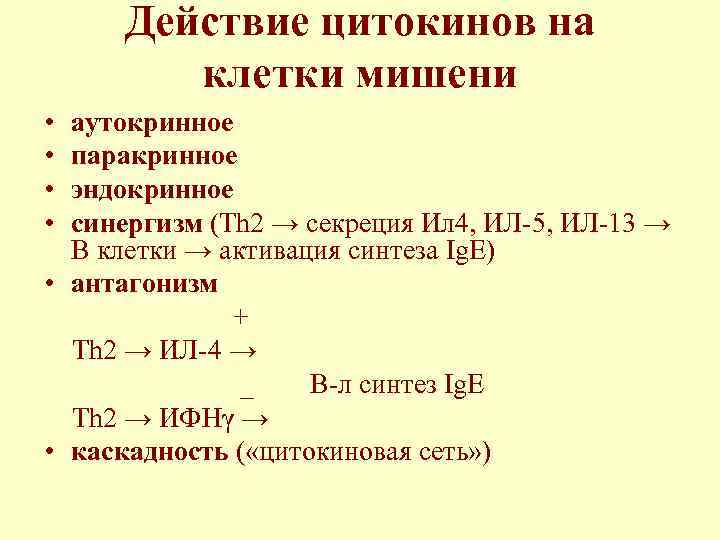 Действие цитокинов на клетки мишени • • аутокринное паракринное эндокринное синергизм (Th 2 →