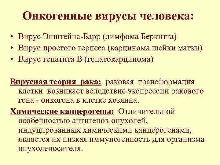 Онкогенные вирусы человека: • Вирус Эпштейна-Барр (лимфома Беркитта) • Вирус простого герпеса (карцинома шейки