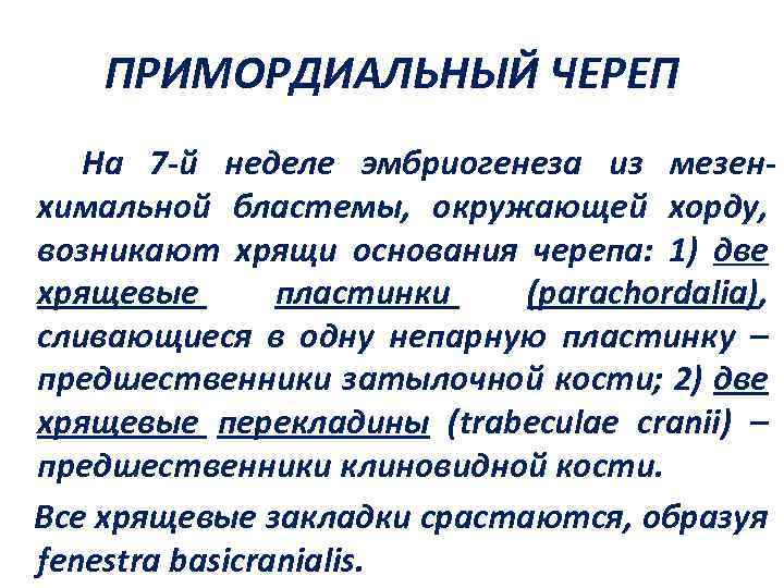 ПРИМОРДИАЛЬНЫЙ ЧЕРЕП На 7 -й неделе эмбриогенеза из мезенхимальной бластемы, окружающей хорду, возникают хрящи