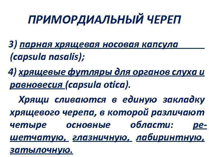 ПРИМОРДИАЛЬНЫЙ ЧЕРЕП 3) парная хрящевая носовая капсула (capsula nasalis); 4) хрящевые футляры для органов