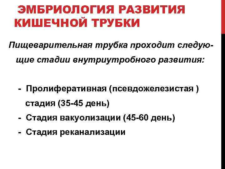 ЭМБРИОЛОГИЯ РАЗВИТИЯ КИШЕЧНОЙ ТРУБКИ Пищеварительная трубка проходит следующие стадии внутриутробного развития: - Пролиферативная (псевдожелезистая
