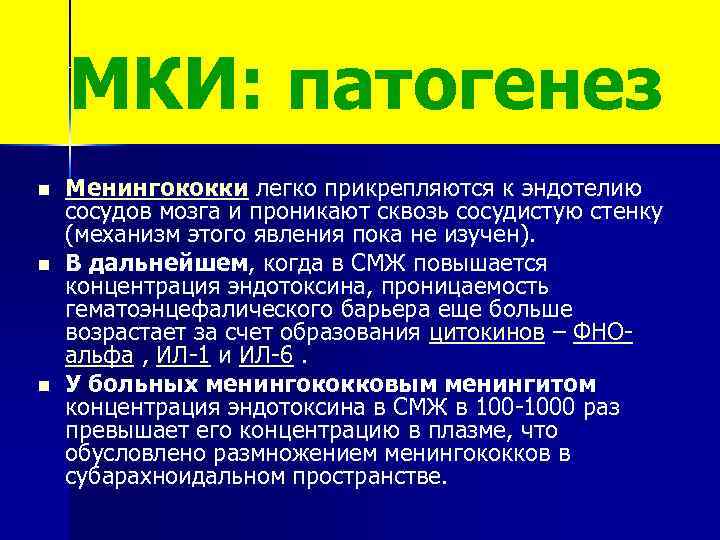 МКИ: патогенез n n n Менингококки легко прикрепляются к эндотелию сосудов мозга и проникают