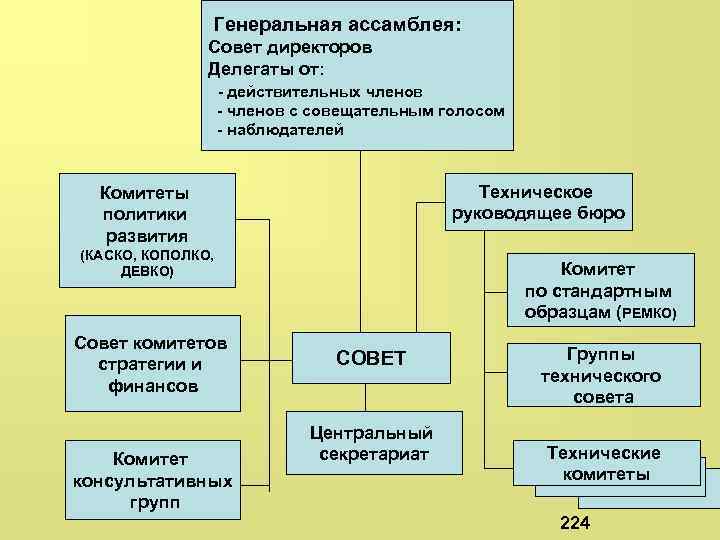 Генеральная ассамблея: Совет директоров Делегаты от: - действительных членов - членов с совещательным голосом