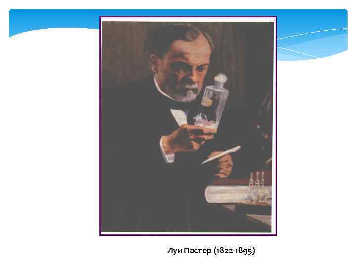Луи Пастер (1822 -1895) Louis Pasteur (1822 -1895) 