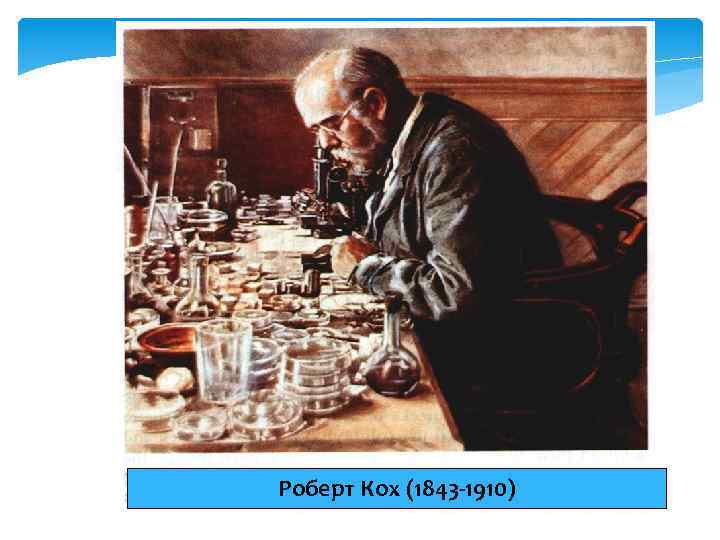 Роберт Кох (1843 -1910) 