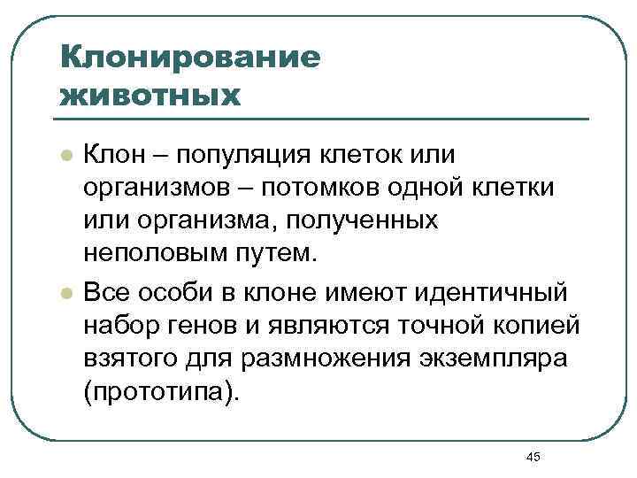 Клонирование животных l l Клон – популяция клеток или организмов – потомков одной клетки