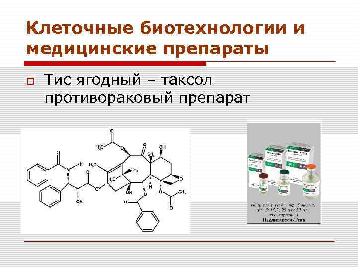 Клеточные биотехнологии и медицинские препараты o Тис ягодный – таксол противораковый препарат 