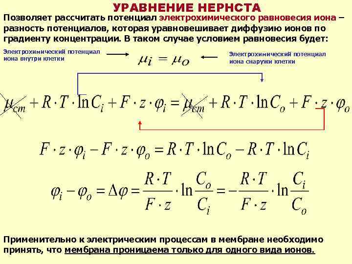 УРАВНЕНИЕ НЕРНСТА Позволяет рассчитать потенциал электрохимического равновесия иона – разность потенциалов, которая уравновешивает диффузию