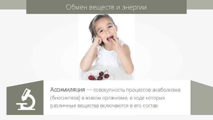 Обмен веществ и энергии Ассимиляция — совокупность процессов анаболизма (биосинтеза) в живом организме, в