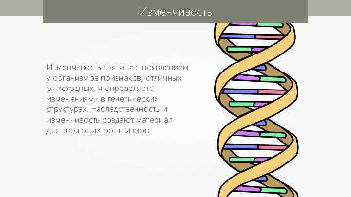 Изменчивость связана с появлением у организмов признаков, отличных от исходных, и определяется изменениями в