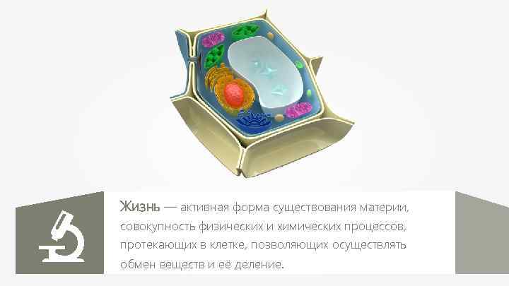 Жизнь — активная форма существования материи, совокупность физических и химических процессов, протекающих в клетке,